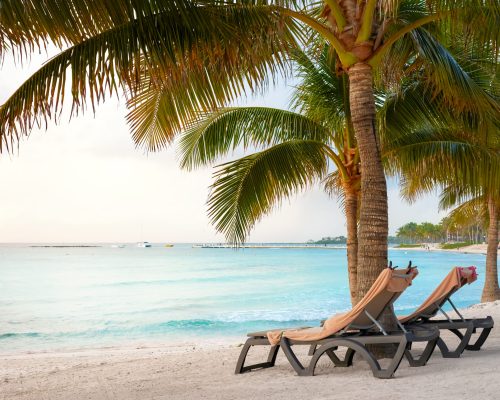 Sun beds under coconut palm trees, Mexico Caribbean coast.